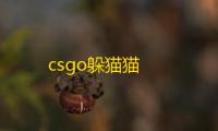 csgo躲猫猫